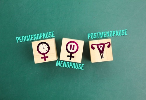 Words Perimenopause  Menopause And Postmenopause. The Concept Of Menopause Stage